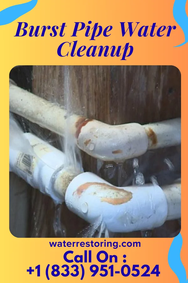 Burst Pipe Water Cleanup in Brandermill, VA