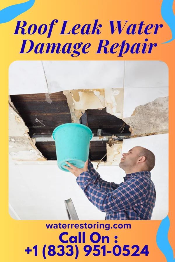 Roof Leak Water Damage Repair in Brandermill, VA