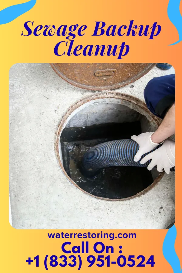 Sewage Backup Cleanup in Brandermill, VA