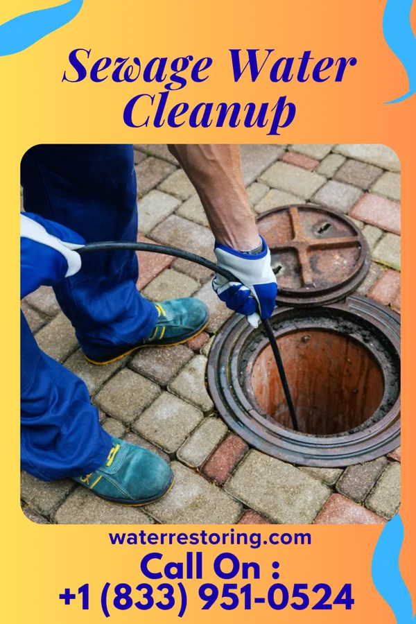 Sewage Water Cleanup in Brandermill, VA